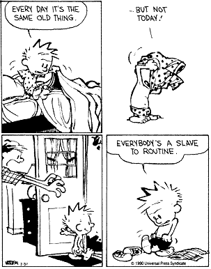 Daily routine Daily routine